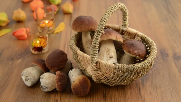 Penny bun mushrooms in a basket. Placing burning tea light candle. — Αρχείο Βίντεο