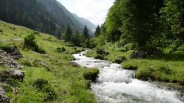 Zillertal Alpler ormanın ve dağların arasından suyla zum yapar. 