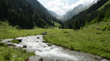Zillertal Alpler ormanın ve dağların arasından suyla zum yapar. 