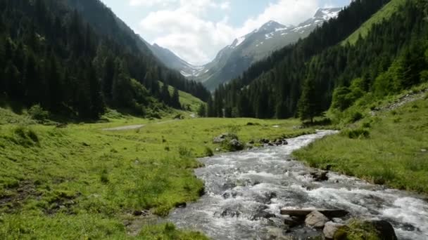 Zillertal Alps stream water zoom though forest and mountains — Stock Video