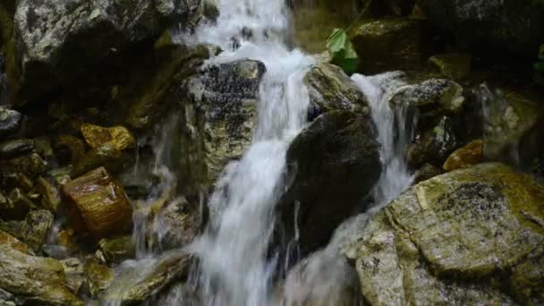 Zillertal Alpok patak víz — Stock videók