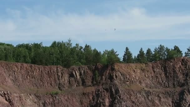 Birds of accipitriformes family flying high above an open pit mine quarry — Stock Video