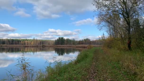 Paysage Dans Les Étangs Poissons Myszkow Poland Paysage Lac Été — Video