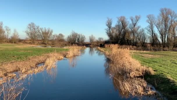 Herbstliche Landschaft Der Havel Havelland Weiden Ufer — Stockvideo