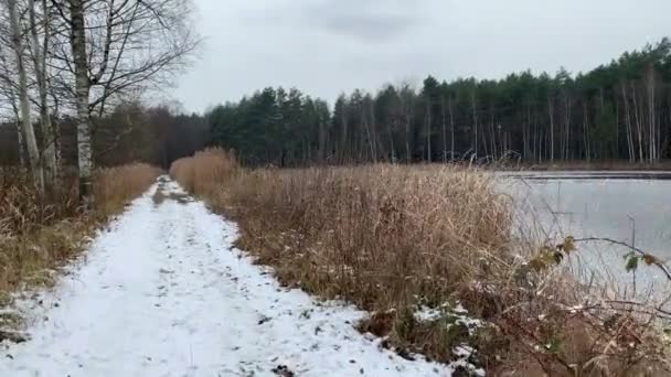 Caminando Por Paisaje Invernal Estanque Hielo Lago Película Engranajes — Vídeo de stock
