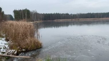 Gölet üzerindeki kış manzarası. Göldeki buz. Göldeki ağaçların su yansıması.