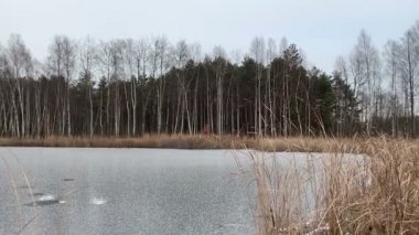 Polonya 'da kışın soğuğu olan bir göl manzarası. Myszkow. Ağaçlar suda yansıyor.