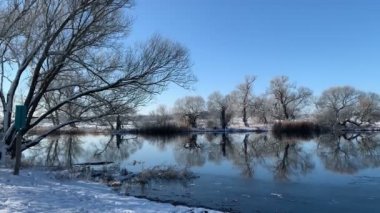 Nehir kıyısındaki güneşli kış manzarası. Ağaç donuyla kaplı söğüt ağaçları. Brandenburg 'da Havel Nehri (Almanya)