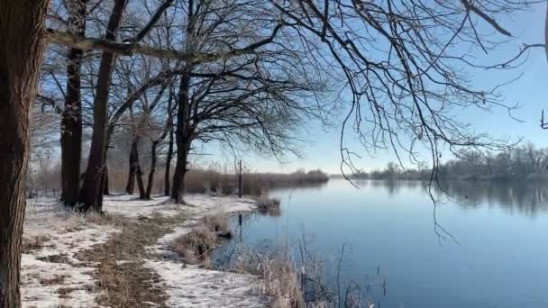 Winterlandschap Aan Havel Duitsland Met Sneeuw Blauwe Lucht — Stockvideo