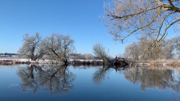 Zimowy Krajobraz Nad Rzeką Havel Niemczech Śniegiem Błękitnym Niebem — Wideo stockowe