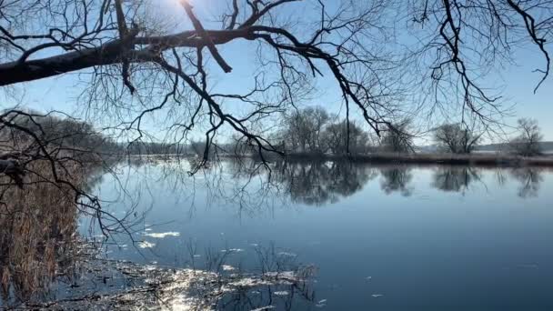 Paisagem Inverno Rio Havel Alemanha Com Neve Céu Azul — Vídeo de Stock