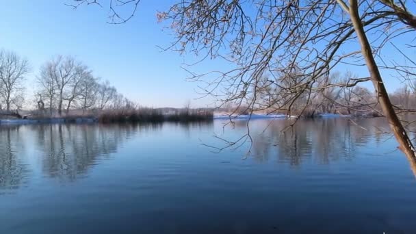 Paisagem Inverno Rio Havel Alemanha Com Neve Céu Azul — Vídeo de Stock