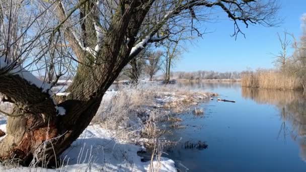 Zimní Krajina Řeky Havel Německu Sněhem Modrou Oblohou — Stock video