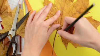 Karton kutu kağıt üzerinde boyama akçaağaç yaprakları