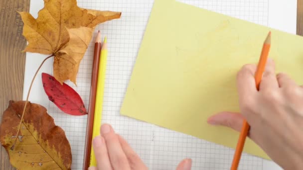 Peinture de feuilles d'érable sur carton boîte papier — Video