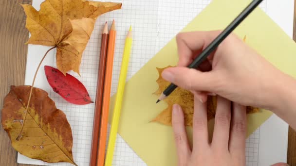 Pintura de hojas de arce en papel de caja de cartón — Vídeos de Stock