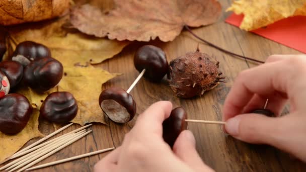 Vytvoření kaštanové želva s zub stick — Stock video