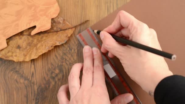 Till hantverk igelkott papper. skissa borst med lineal och kritor för att klippa ut. — Stockvideo