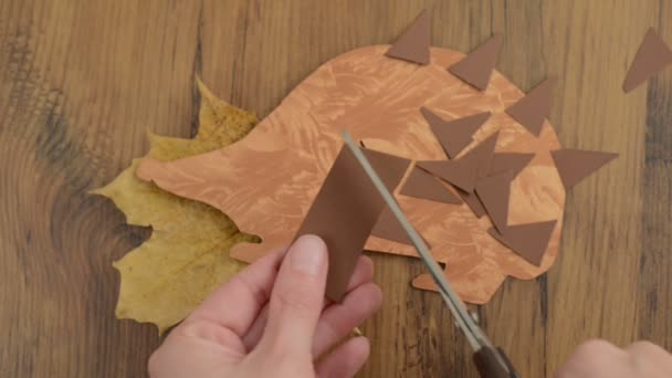 Bristle op een egel van papier naar lijm deze sorteren — Stockvideo