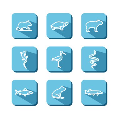 Animals of bogs and reservoirs clipart