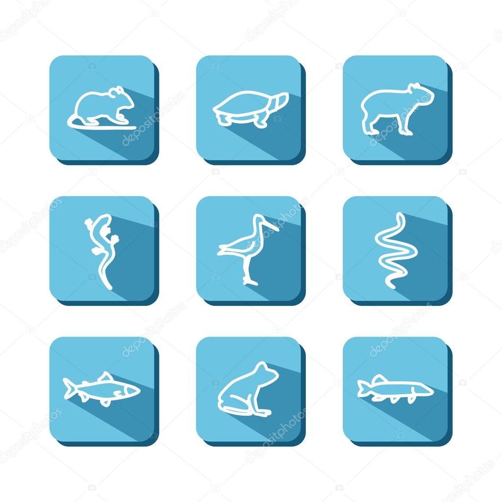 Set with icons - animals of bogs and reservoirs. A vector.
