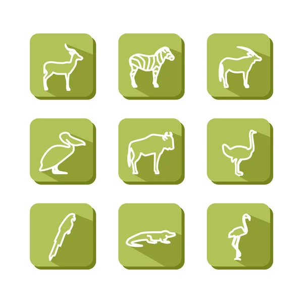 动物-热带稀树草原 — 图库矢量图片