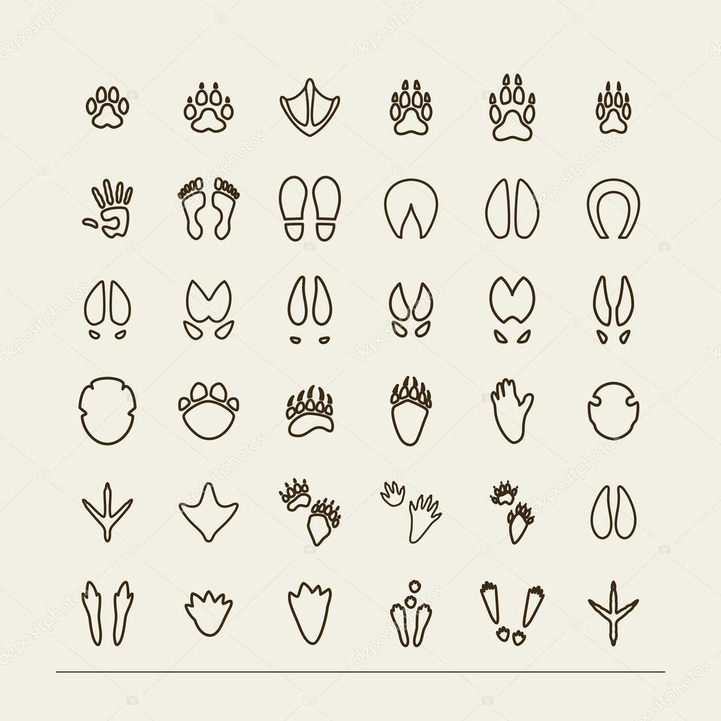 Set with icons - traces of animals and birds. A vector.
