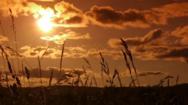 Günbatımı manzara Cevennes, Güney Fransa