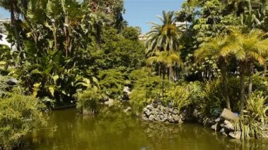 Monaco, Akdeniz bitkileri ile Park