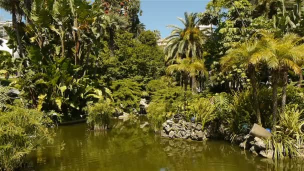 Parque com plantas mediterrâneas em Mônaco — Vídeo de Stock