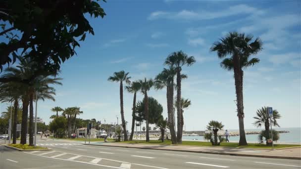 Boulevard de palmeras en Francia — Vídeos de Stock