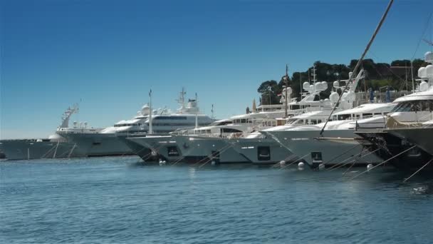 Harbor with luxury yachts — Stock Video