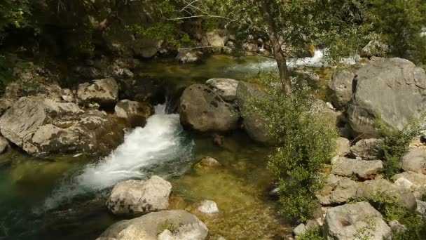 Fiume selvaggio in Costa Azzurra, Francia meridionale — Video Stock