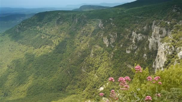 Naturaleza de los Pre Alpes en el sur de Francia — Vídeo de stock