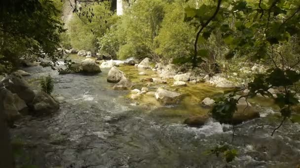 Agua salvaje en Cote D 'Azur, sur de Francia — Vídeo de stock