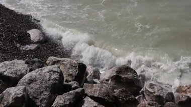yabani su sahil yakınındaki calais, Fransa