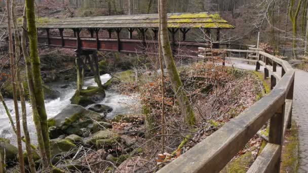 Brücke über wildes Wasser im Naturpark Eifel — Stockvideo