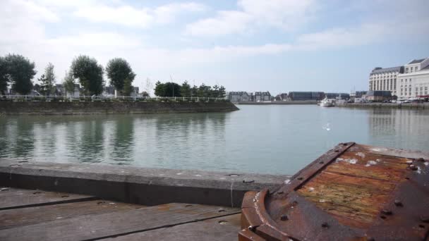 Fisherman crates in the harbor in Trouville, France — Stock Video