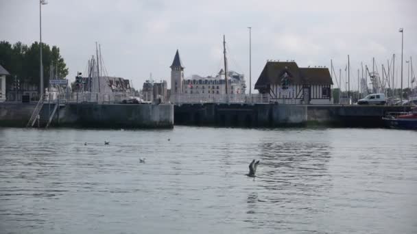 Ciudad junto al mar en Francia — Vídeo de stock