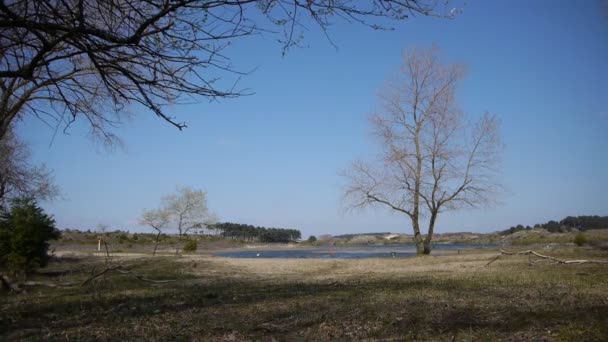 Parco nazionale tra le dune in spiaggia — Video Stock