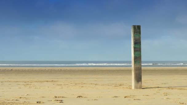 Pilastro in legno sulla spiaggia — Video Stock