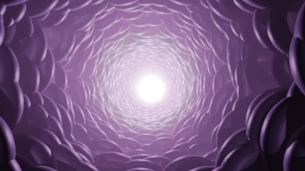 Абстрактная пурпурная червоточина — стоковое видео
