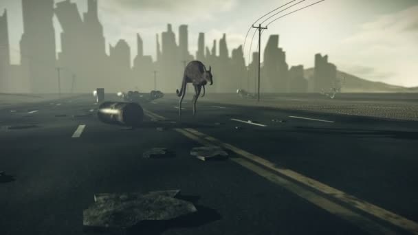 Apocalyptic city with jumping kangaroo — Stock Video