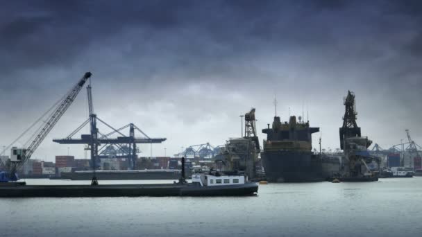 Port w Rotterdamie — Wideo stockowe