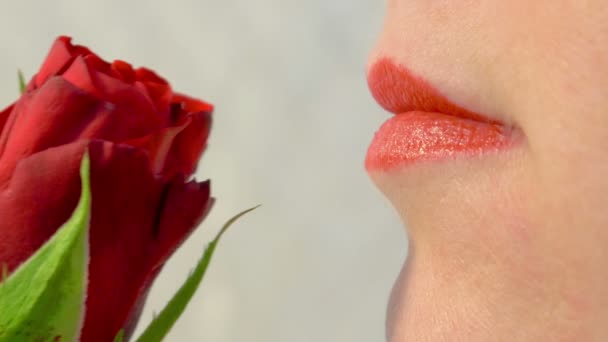 Mujer oliendo una rosa roja — Vídeo de stock