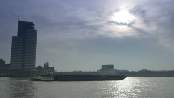 Barca de marfă la râul Rotterdam — Videoclip de stoc