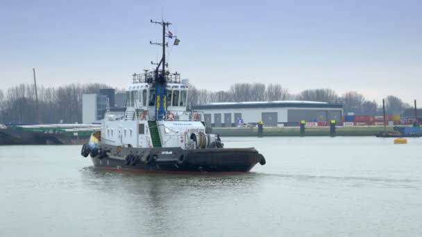 在工作在鹿特丹港口的一艘拖船 — 图库视频影像