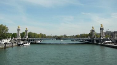 Seine Nehri ve Pont Alexandre III