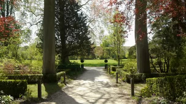 Κήπο του βασιλιά στις Βερσαλλίες — Αρχείο Βίντεο