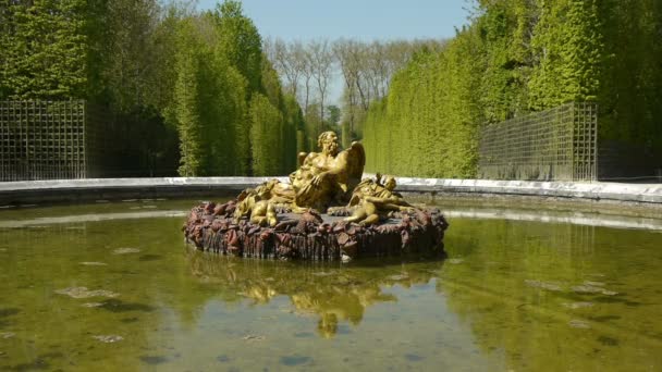 Bekken van Saturnus in Versailles palace gardens — Stockvideo